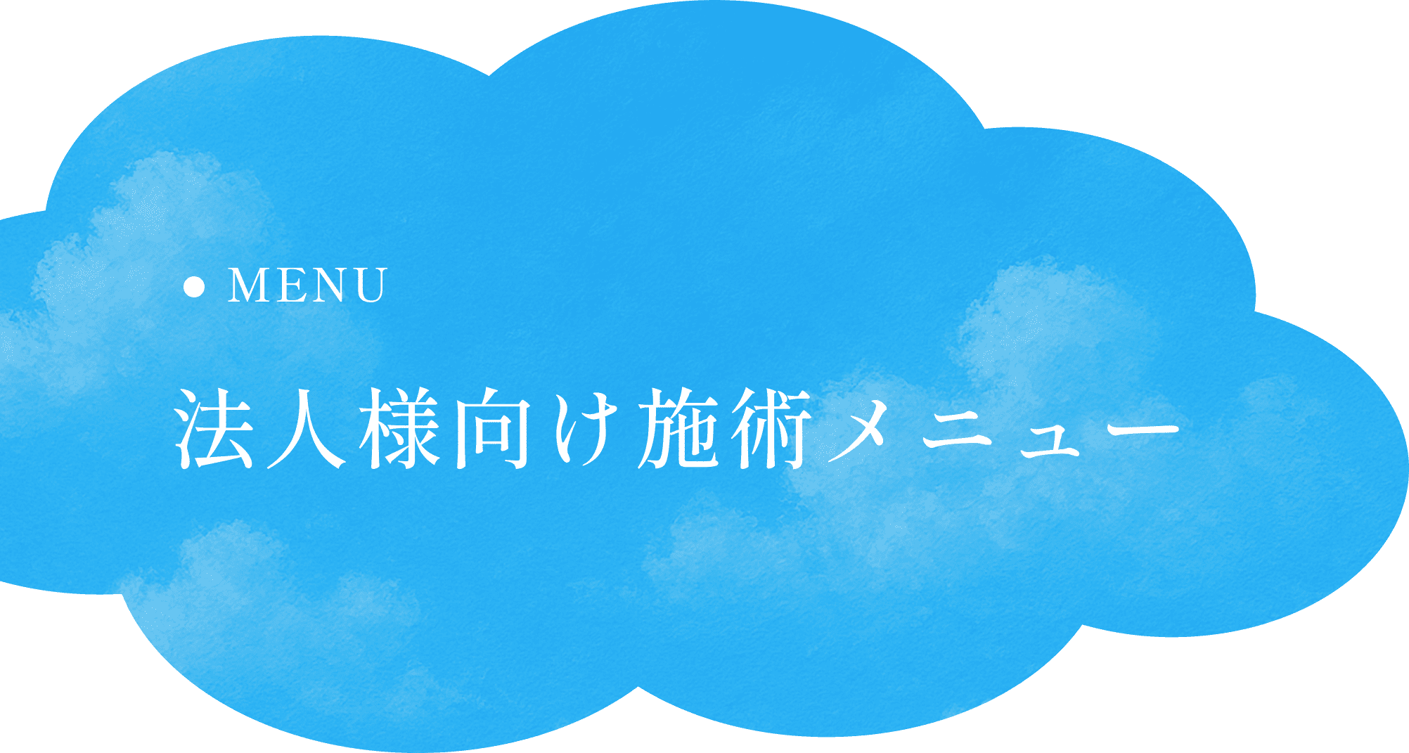 法人様向け施術メニュー