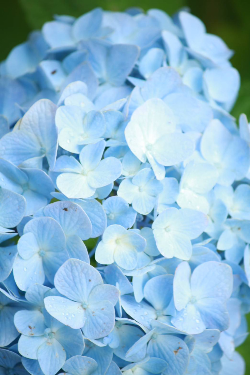 開業１周年を迎えました